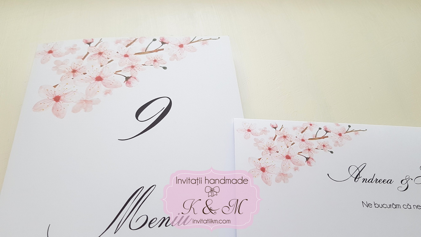 Invitatii K & M (754)